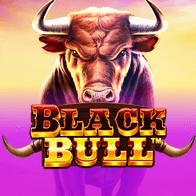 Black Bull